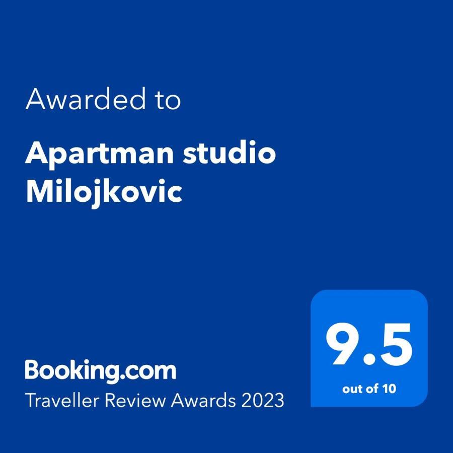 Apartman Studio Milojkovic Golubac Exterior photo
